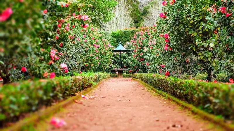 Landscaped Gardens