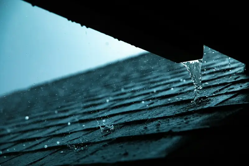 Rainwater Harvesting